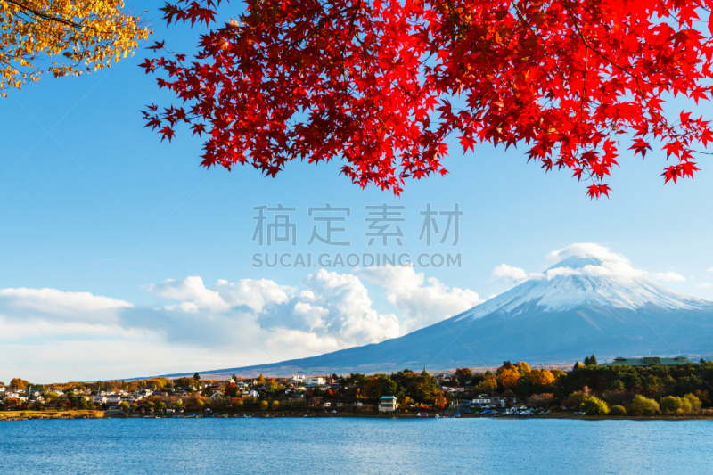 富士山,秋天,河口湖,水平画幅,火山地形,户外,湖,日本人,植物,芦苇