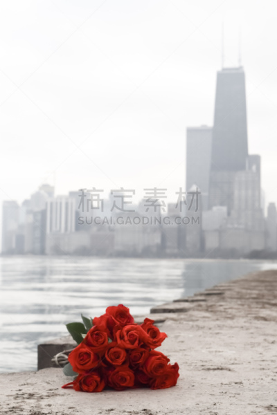 玫瑰,红色,汉考克大厦 ,芝加哥市,北大街海滩,摄像机拍摄角度,美国中西部地区,伊利诺斯州,华丽一英里,垂直画幅