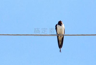 平衡折角灯,o2无线音乐节,无人,哈萨克斯坦,图像,水平画幅,坐,摄影