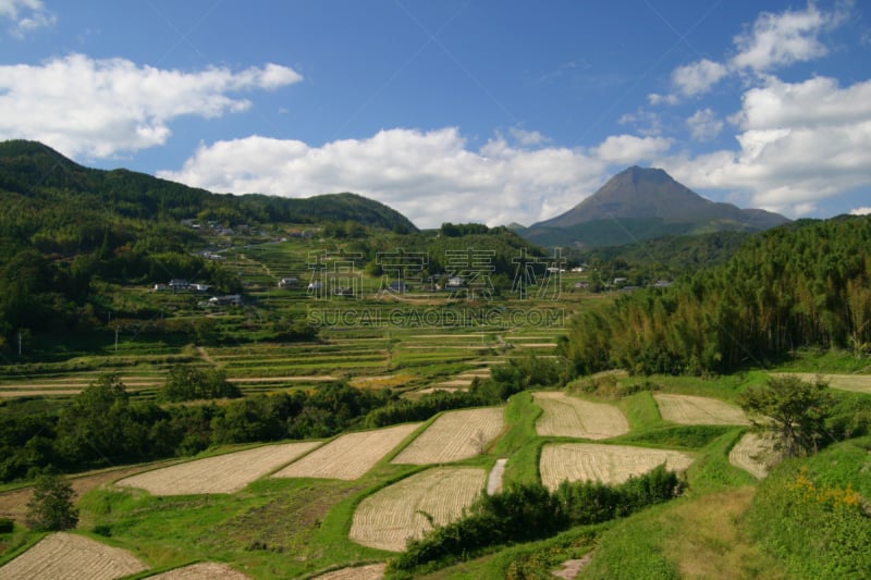 凫山,大分县,梯田,水稻梯田,稻田,里山,水平画幅,无人,户外,田园风光