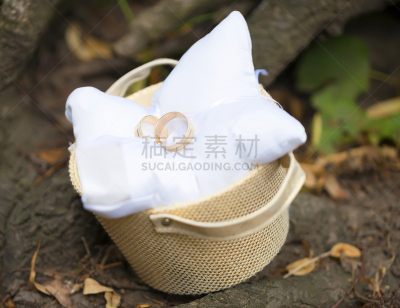 结婚戒指,金属,白色,婚礼,黄色,枕头,献礼盛会,男傧相,新娘,美