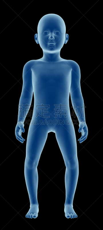 儿童,姿态不雅,形态学,解剖模型,膝,垂直画幅,正面视角