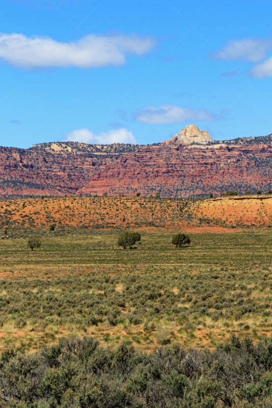 犹他,草地,地形,色彩鲜艳,自然美,艾丝卡兰迪峡谷,escalante,荒地,垂直画幅,纪念碑