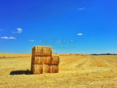 农作物,干草卷,田地,坎坡斯之地,收获节,帕伦西亚省,农业合作社,草原,天空,干草
