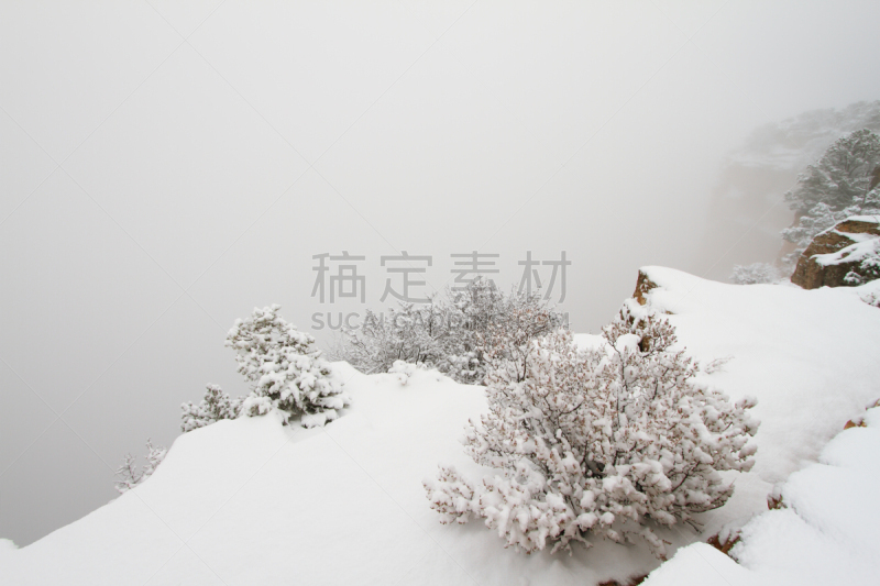 沟壑,大峡谷,深的,公园,洞,水平画幅,高视角,雪,风险,旅行者