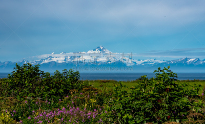 库克水道,火山,阿拉斯加,雪,湖,户外,天空,半岛,山脉,自然