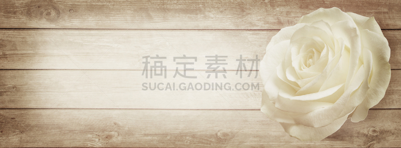古老的,木制,全景,篱笆,尖的,前端入水,水管,头球,边框,上车