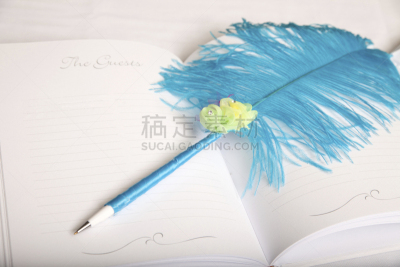 婚礼,留言簿,鹅毛笔,水平画幅,彩色图片,婚姻,书,水笔,翎毛,摄影