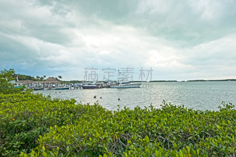 佛罗里达群岛,鹈鹕,风景,泻湖,滨水,栈桥码头,客船,水,天空,夏天