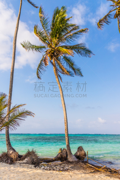 巴拿马,桑卜拉斯岛,垂直画幅,水,天空,美,无人,夏天,异国情调,户外