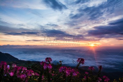 山,黎明,长春花属,mis环状跑道,海洋,天空,佛蒙特,美,水平画幅,云