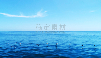 鹈鹕,编队飞行,天空,水平画幅,云,鸟类,户外,无人机,两翼昆虫,鸟编队飞行