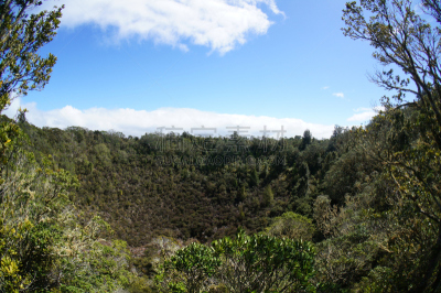 朗伊托托岛,沙滩上的石头,hauraki gulf islands,奥克兰,火山,新西兰,水平画幅,无人,户外,岛