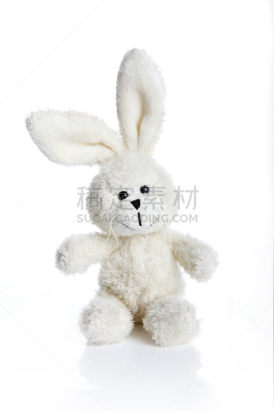 兔子,毛绒玩具,垂直画幅,礼物,毛绒绒,宠物,可爱的,动物,啮齿目,幽默
