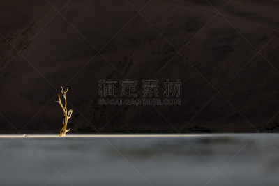 苏丝斯黎,光,纳米比亚,最后,白昼,一个物体,比例,橙色,一只动物,著名景点