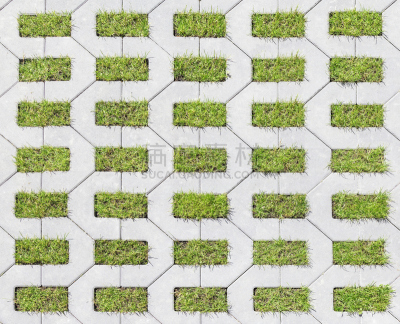 草,瓷砖,美,水平画幅,块状,平视角,古老的,草坪,夏天,户外