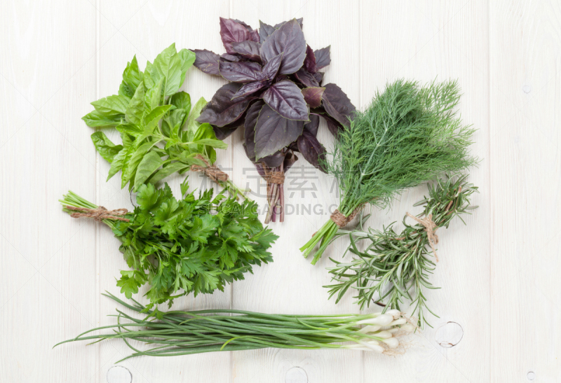 Fresh garden herbs