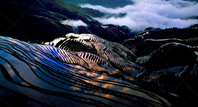 水稻梯田,龙脊梯田,龙胜,桂林,水平画幅,无人,户外,稻田,著名景点