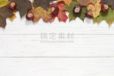 栗子,叶子,秋天,留白,边框,水平画幅,无人,九月,古典式,干的