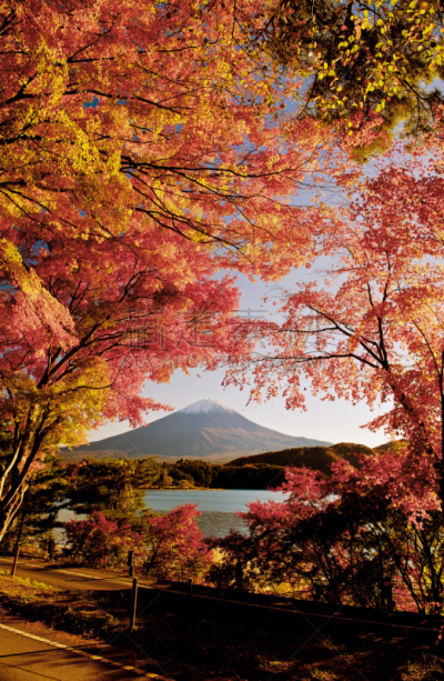 富士山,垂直画幅,雪,无人,湖,冬天,山,著名景点,东京,河流