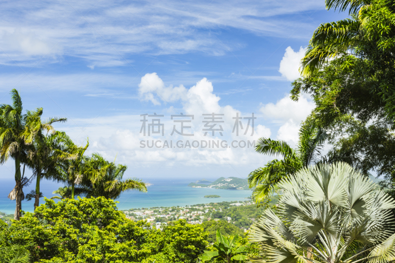 鸽子岛,罗德尼湾,热带鸟,水,天空,美,度假胜地,气候,水平画幅,枝繁叶茂