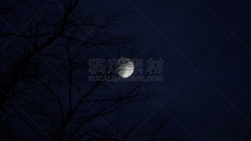 月亮,秋天,平衡折角灯,天空,水平画幅,夜晚,无人,户外,光,白色