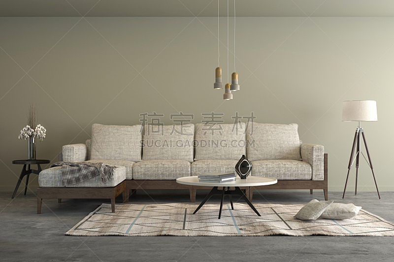 现代,沙发,起居室,米色,室内,混凝土,小毯子,水平画幅,地毯,灯