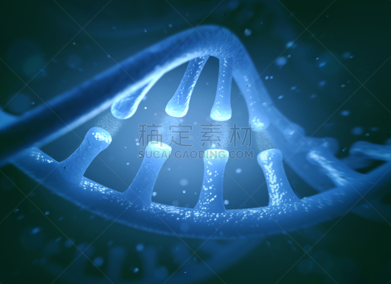 核糖核酸,脱氧核糖核酸,分子,人造的,水平画幅,形状,显微图片,无人,绘画插图,科学