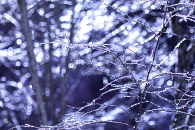 冬天,雪,日本,安静,云,深雪,木制,晴朗,长野城,白色