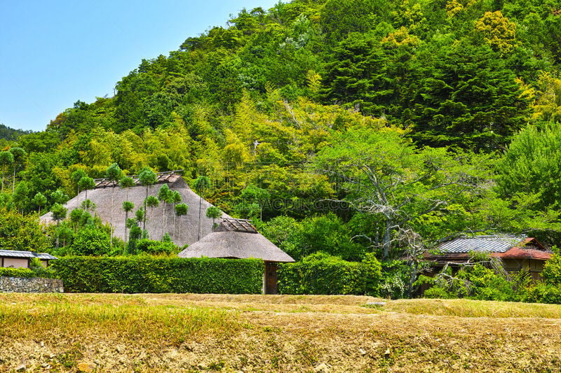 京都市,地形,北岳山,幻想,屋顶,小农地,嵯峨野,岚山,茅屋屋顶,五月