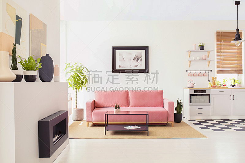 沙发,白色,室内,平坦的,粉色,墙,壁炉,摄影,写实