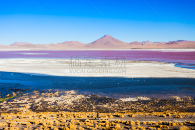 科罗拉达湖,拉古娜海滩,南美,水平画幅,雪,火山地形,户外,玻利维亚,本田,高处