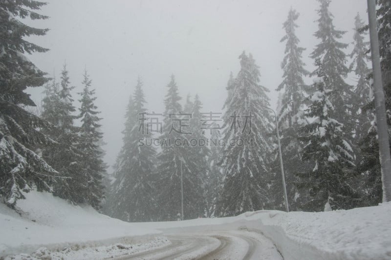 雪,保加利亚,冬天,路,山,山谷,罗多彼山脉,童话故事,都市风光,树