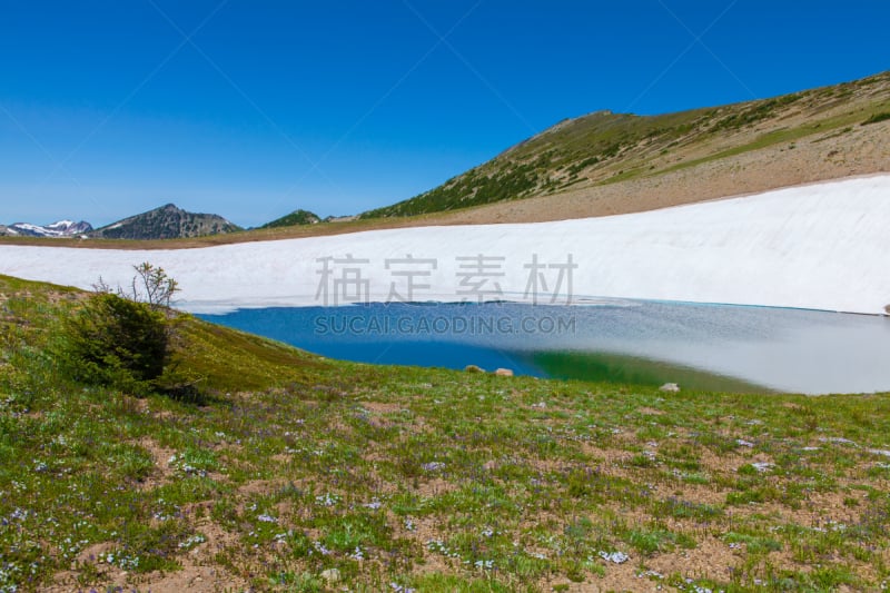 湖,皮尔斯县,雷尼尔雪山,自然,美国,气候,水平画幅,雪,蓝色,夏天