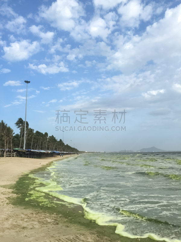 海洋,浮游生物繁殖,自然,垂直画幅,自然现象,琼不里省,无人,蓝色,藻类,夏天