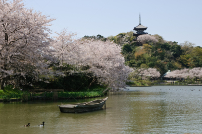 星和园,春天,横滨,拖捞船,水,天空,留白,里山,水平画幅,山