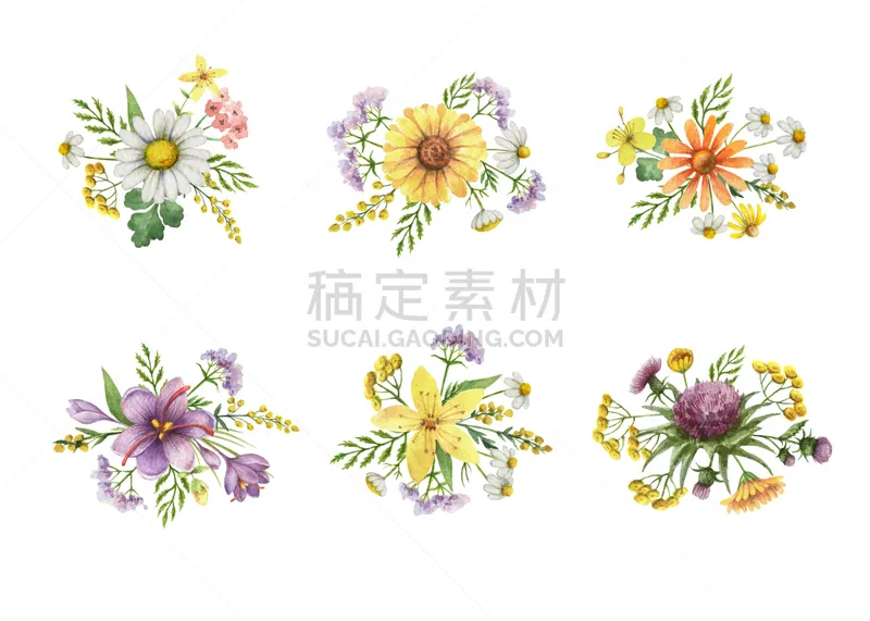 花束 植物群 水彩画 草地 奶蓟草 艾菊 白屈菜 圣约翰草 野金盏花 壁纸刷图片素材下载 稿定素材 花束 植物群 水彩画 草地 奶蓟草 艾菊 白屈菜 圣约翰草 野金盏花 壁纸刷图片素材下载 稿定素材