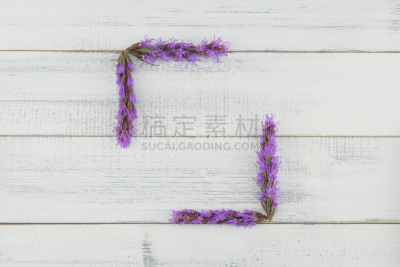 边框,白色,鹿舌草,木制,紫色,贺卡,芳香的,水平画幅,星星,无人