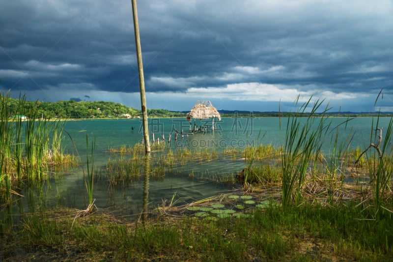 鸟类,湖,海滩,风景,危地马拉,栈桥码头,高架铁路铁轨,乡村,水,天空