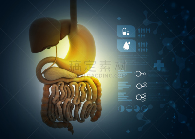 人,顺序,胆囊,有序,水平画幅,忠告,特写,做计划,计划书