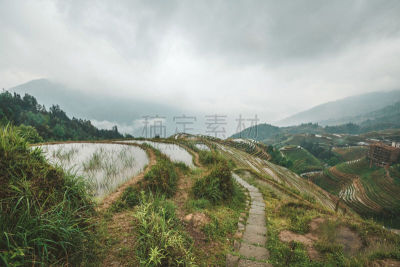 稻,龙胜,梯田,全景,水稻梯田,乡村,农场,2018,都市风景,天空