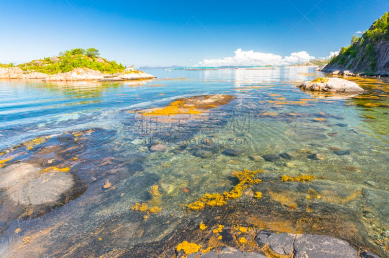 挪威,海岸线,海湾,峡湾,色彩鲜艳,夏天,希特拉,特隆赫姆,斯堪的纳维亚半岛,游艇