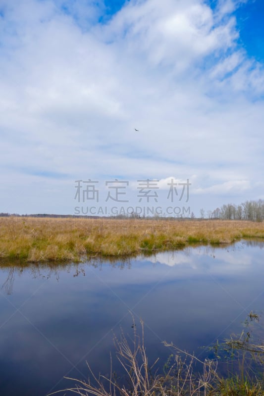 马塔穆斯基特湖,国家野生动物保护区,垂直画幅,水,天空,无人,鸟类,沼泽,户外,湖