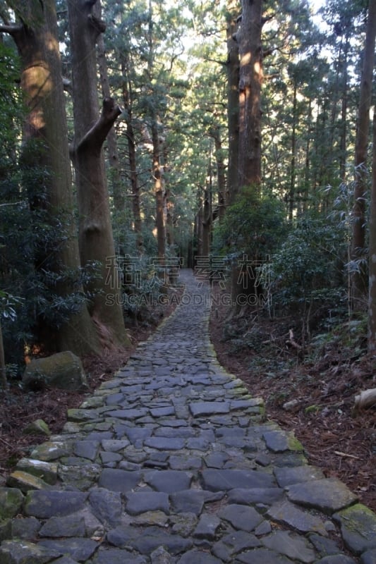 熊野古道,日本,和歌山县,山,海上航道,世界遗产,环境保护,小路,户外,天空