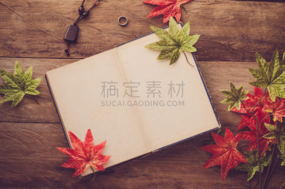 木制,夏天,枫叶,背景聚焦,笔记本,文字,太空,空白的,边框,水平画幅