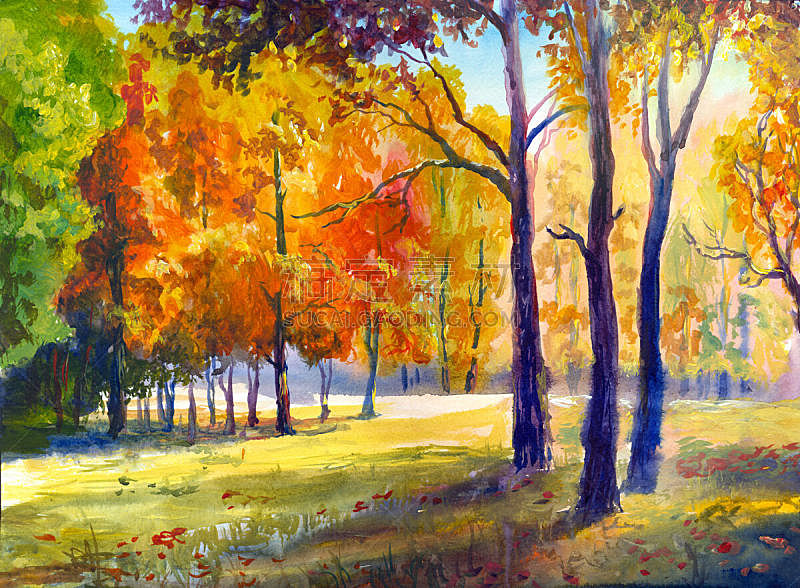 秋天,地形,水彩画,九月,秘密,十月,水彩画颜料,飘然,美术工艺,橙色