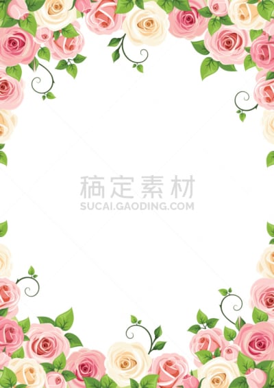 玫瑰,粉色,白色,矢量,背景,卷须,花头,边框,花蕾,花朵