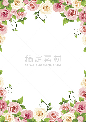 玫瑰,粉色,白色,矢量,背景,卷须,花头,边框,花蕾,花朵