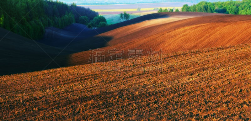 山,田地,斯普林费德,褐色,水平画幅,云,无人,早晨,农作物,植物