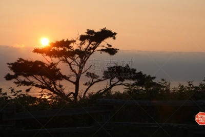 奥林匹克国家公园,kalaloch creek,华盛顿州,两只动物,美国,水平画幅,地形,无人,太阳,奥林匹克山